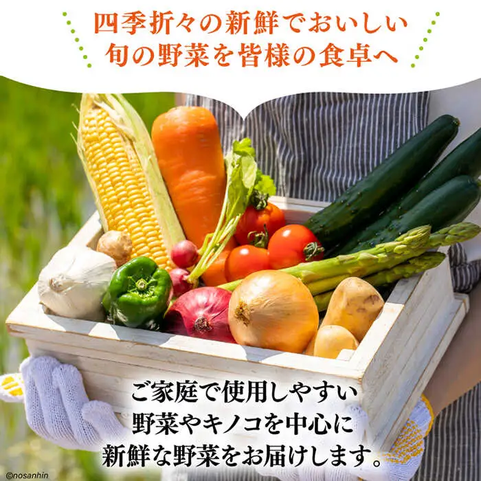 旬の新鮮 野菜詰め合わせセット（10品-12品）[SCB094] 野菜