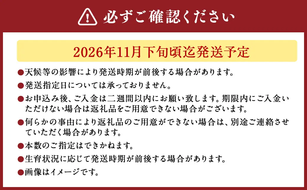 バラ アマダ（赤）（40‐50本）| 花 薔薇 ローズ 生花 赤 贈り物 プレゼント ギフト【2026年11月下旬頃迄発送予定】