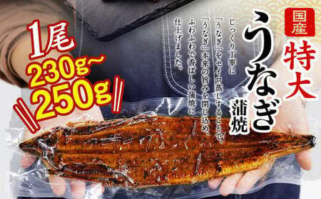 【隔月3回定期便】国産 うなぎ 蒲焼 4尾 （920g～1kg）と 特製 タレ 4個 セット