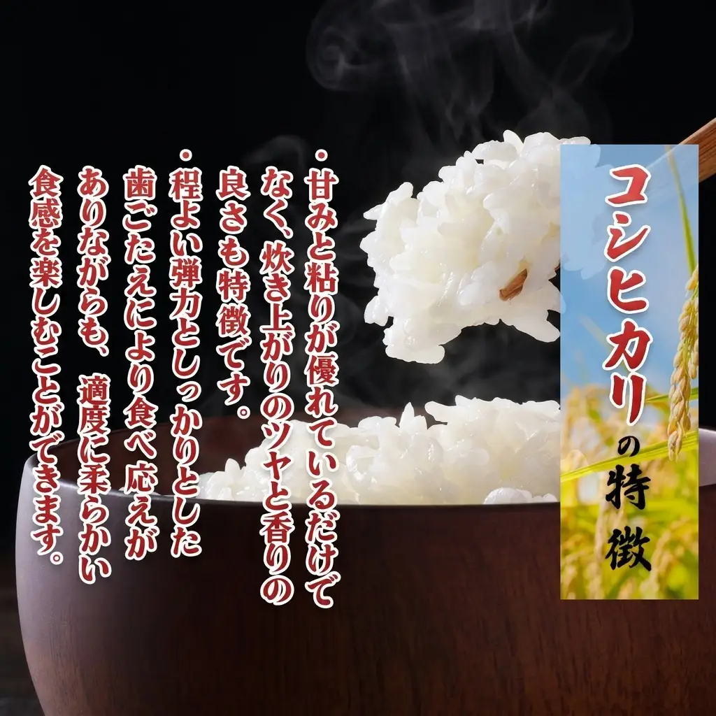 先行予約 令和8年産 新潟県上越市産 栽培期間中 農薬不使用 コシヒカリ 5kg 精米 米 橋本農場