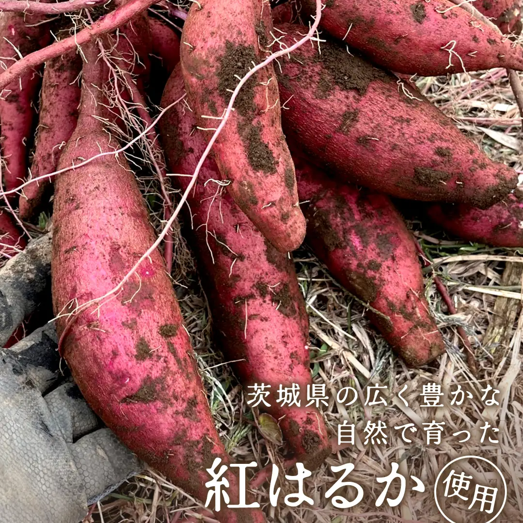 冷凍焼き芋 約2㎏ 【 茨城県産 紅はるか 】