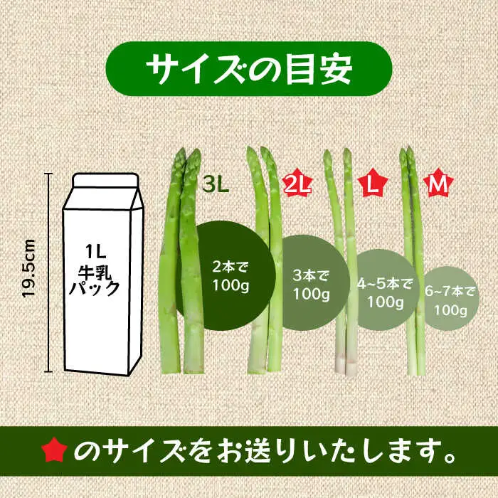 【先行予約・訳あり】モーモーアスパラ 夏芽 M / L / 2L セット 1.2kg（6月上旬から順次発送） アスパラガス[ARAI034]