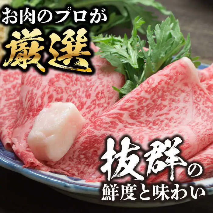 【厳選部位】おおいた豊後牛 サーロイン しゃぶしゃぶすき焼き用 500g  日田市 黒毛和牛 牛肉 サーロイン 豊後牛 しゃぶしゃぶ すき焼き  [AREI016]