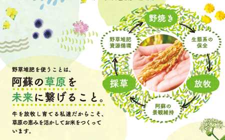 おとみや日和　　阿蘇の名水と野草堆肥のめぐみ	　玄米20kg（10kg x 2袋）				
