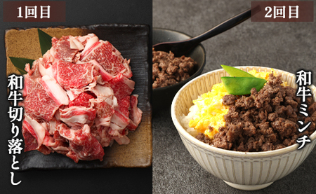 【6回定期便】鹿児島黒毛和牛 バラエティセット 焼肉 すき焼き ステーキ バラスライス 和牛ミンチ ハンバーグ 鹿児島牛 鹿児島黒毛和牛 黒毛和牛 ロース カルビ バラ 冷凍 定期便 6回