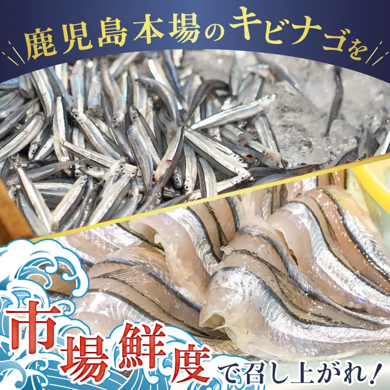 鹿児島産 キビナゴ刺身 40尾 4人前 K100-010 魚 冷凍