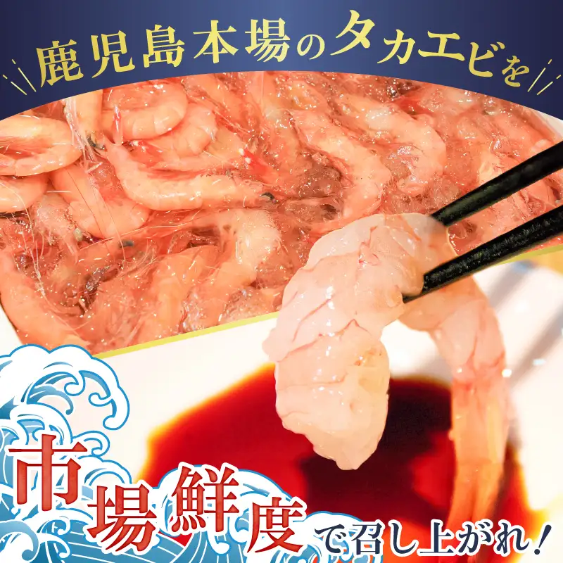 鹿児島産 タカエビ 600g 6人前 K100-011 魚 冷凍