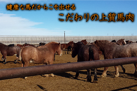 上赤身馬刺し200g(100g×2ブロック)＋コーネ50g【純国産熊本肥育】《30日以内に出荷予定(土日祝除く)》 st-p