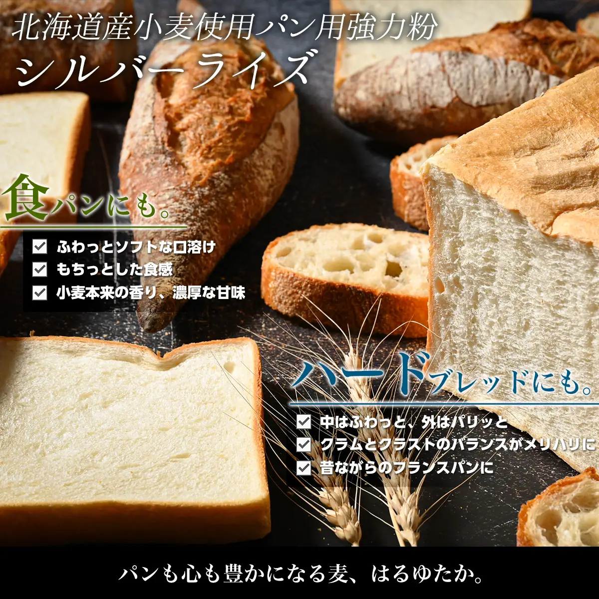 北海道産 小麦粉 はるゆたかブレンド小麦粉 シルバーライズ（パン用強力粉）10kg MROBI016 小麦粉