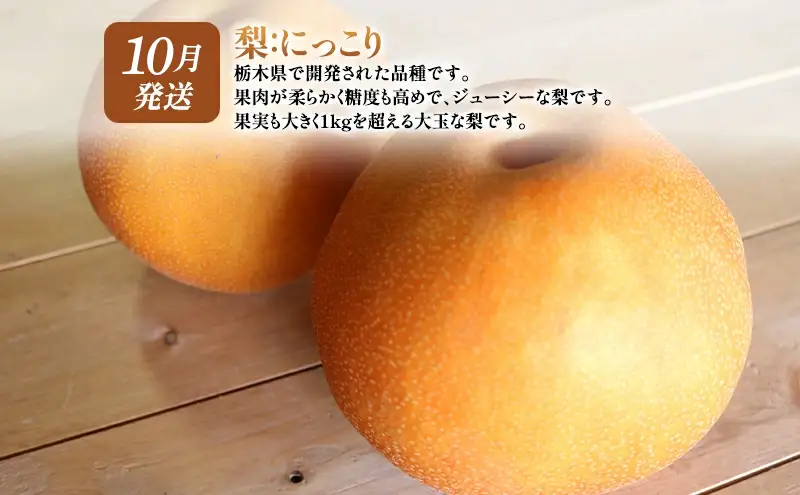 【 定期便 2回 】 大玉な梨 にっこり 2玉 約2kg と いちご市 鹿沼の 美味しい「い」「ち」「ご」とちあいか 15粒入り320g 2パック のフルーツ 定期便 ｜ 梨 いちご 鹿沼市 かぬま ※2026年10月～発送