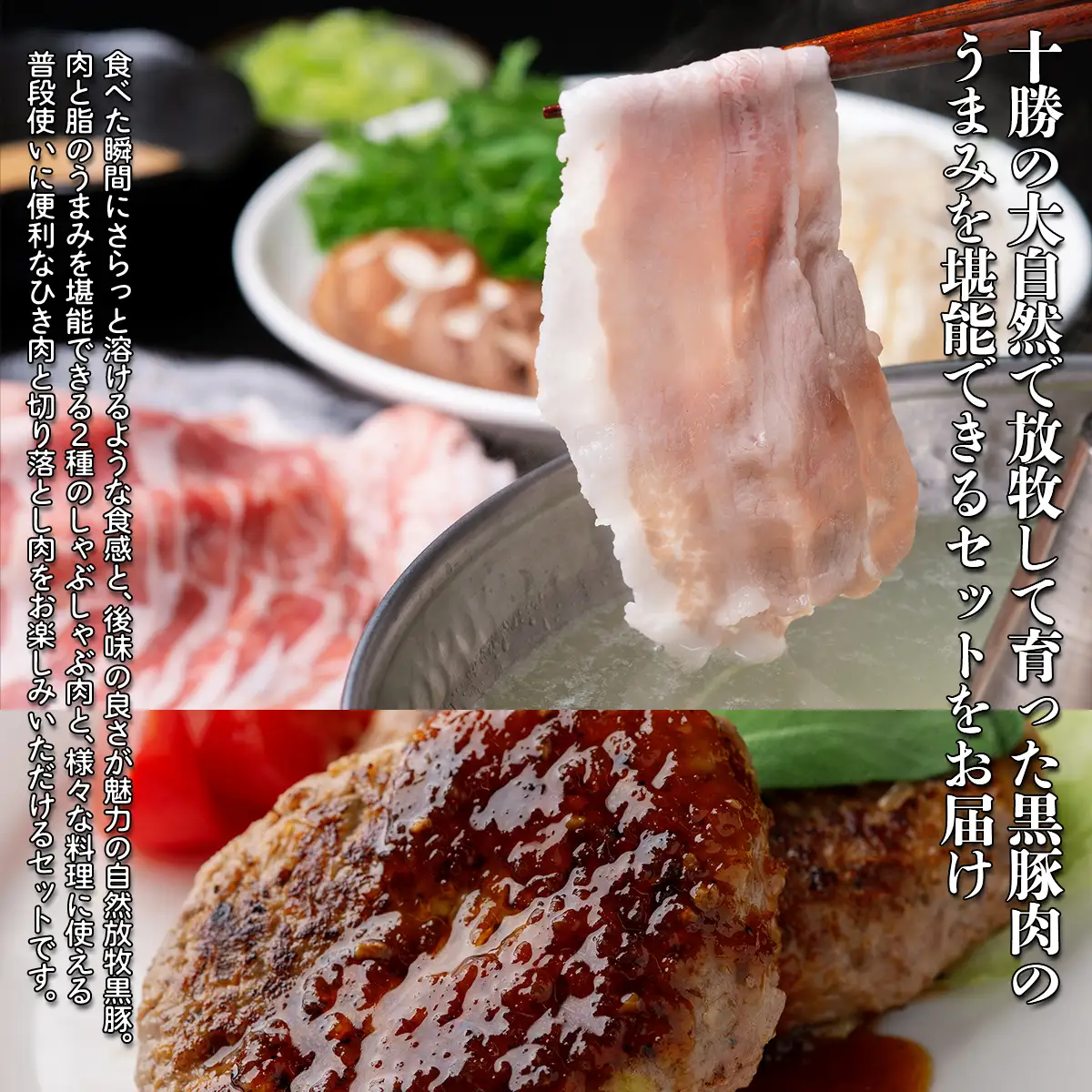 十勝鹿追町産　自然放牧黒豚　圧巻の豚肉　しゃぶしゃぶ肉と切り落とし＆ひき肉のセット （2100ｇ）定期便12回　SKN016 【 北海道  送料無料 】 