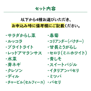 マイクロ野菜 品種が選べる 4点セット 多治見市 / 諏訪農林[TDO005]