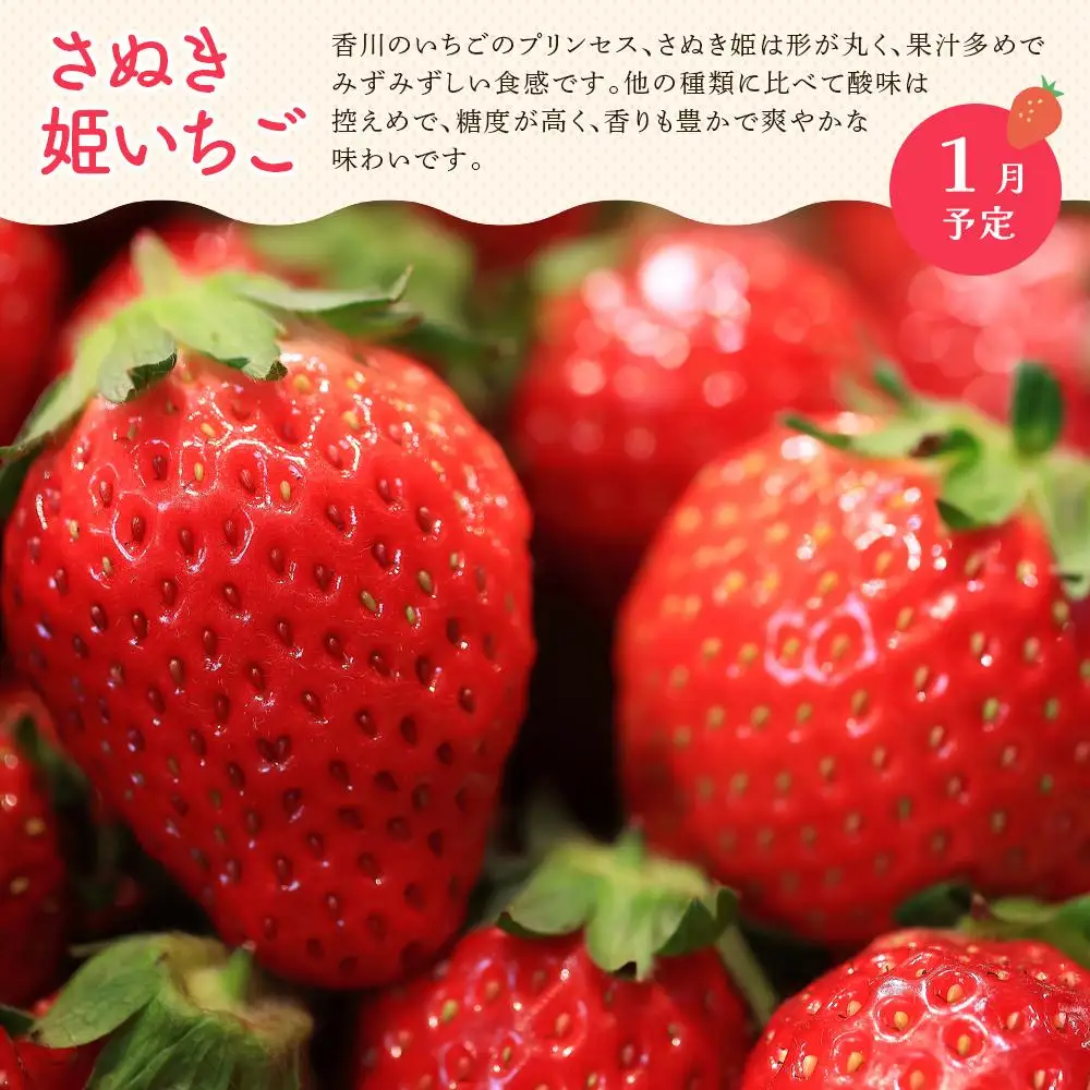 【定期便全3回】冬のいいとこどり定期便（12・1・2月） | フルーツ