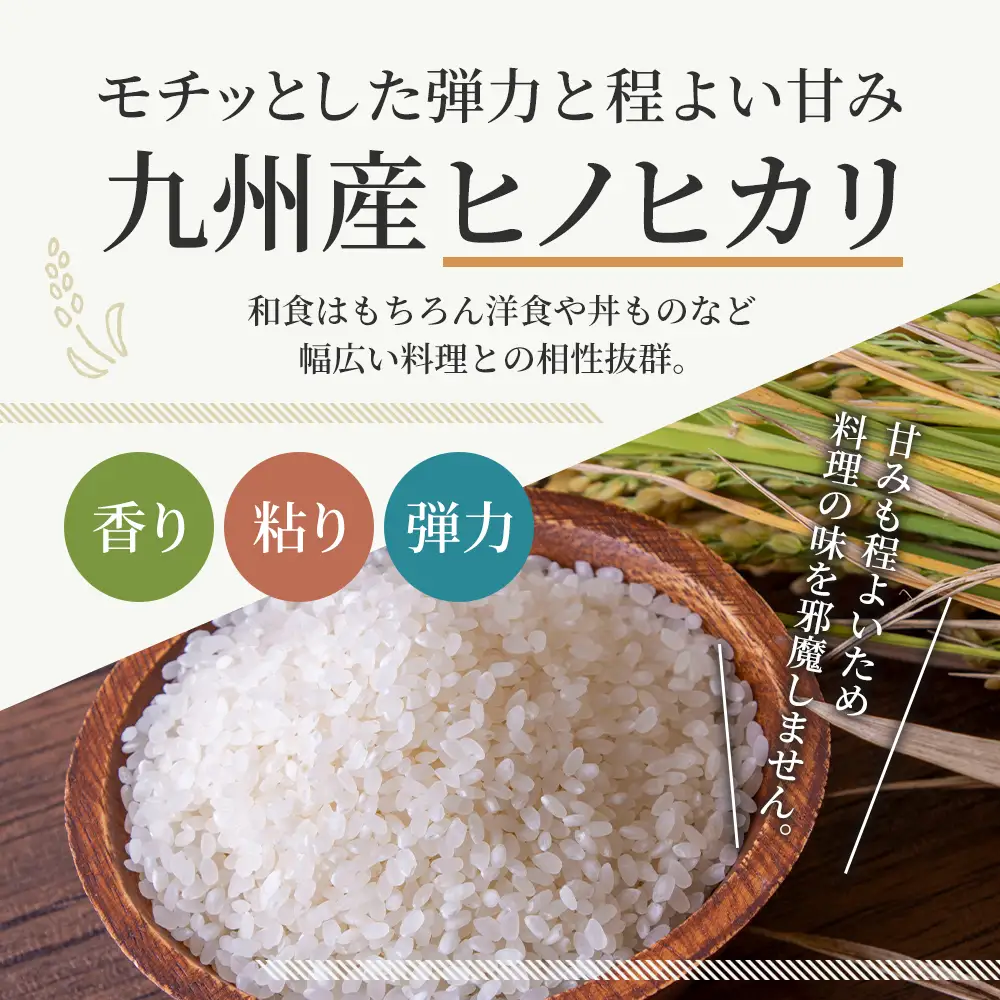 パックご飯 ヒノヒカリ 低温製法米 備蓄 パックご飯【150g×48食(3食×82ケース)】