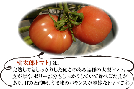 超絶トマットロケチャップ(200g×4個)　四ツ山食品《45日以内に出荷予定(土日祝除く)》 st-p