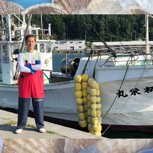 三陸産ムール貝(生)1kg(20個前後)