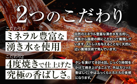 福岡県産 うなぎ 2尾  (1尾当たり：140g-180g) 国産 株式会社HOMIE 《45日以内に出荷予定(土日祝除く)》