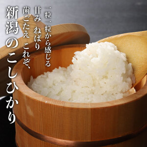 令和7年産 新潟県産 コシヒカリ 10kg (5kg×2袋) 坂井ファーム 特別栽培米コシヒカリ 新潟 新発田 米 玄米 精米 白米 ご飯 おにぎり 弁当 こしひかり おこめ せいだ 新潟 新発田 D34_04