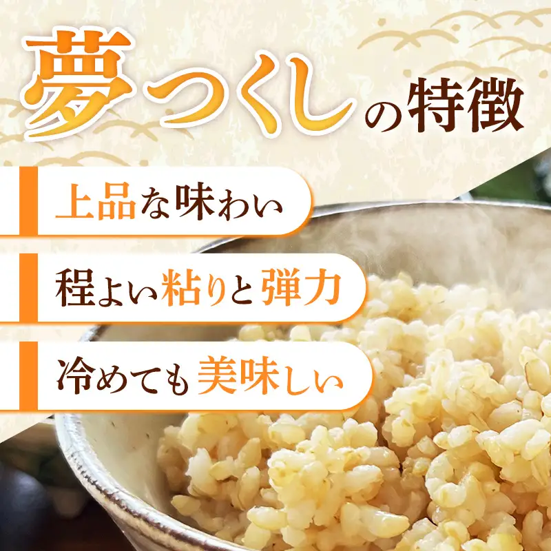 夢つくし 玄米 パックご飯 24個【米 お米 パックご飯 パック 夢つくし ブランド米 玄米 玄米パック 非常食 保存食 備蓄 福岡県産 筑前町 DT002】【202610】