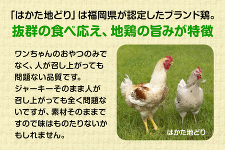 はかた地どり使用 お試しご家庭用 素材そのままのササミ細切りのワンちゃん用おやつ 40g×2袋 ササミ ジャーキー おやつ 福岡県産 天然素材100％ 添加物不使用 安心 安全 犬用 ペット用品