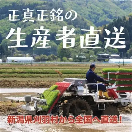【新潟特別栽培米】【無洗米】刈羽村産コシヒカリ 10kg(5kg×2袋)【1576361】