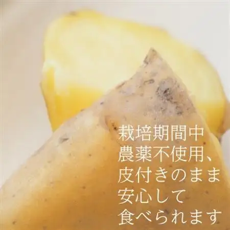 【フードロス対応・規格外】有機ジャガイモ 3kg　訳あり    季節限定(12～3月発送)【配送不可地域：離島・北海道・沖縄県】【1568581】