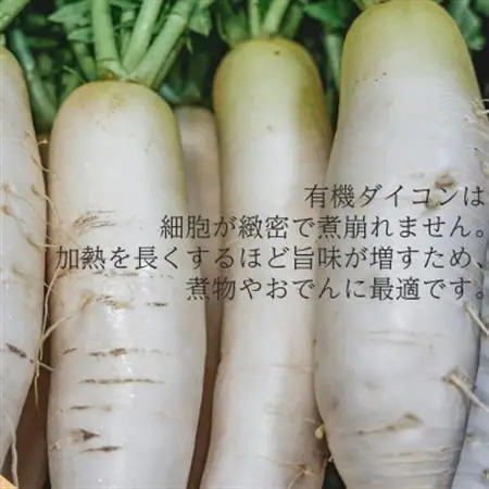【フードロス対応・規格外】　有機大根　訳あり　有機JAS　冬季限定(12～3月発送)【配送不可地域：離島・北海道・沖縄県】【1568591】