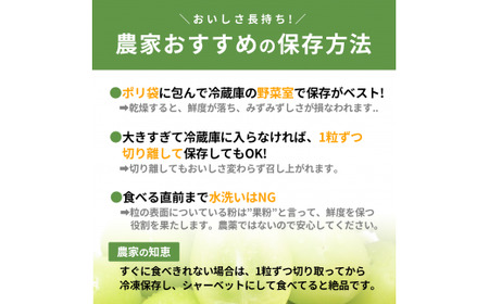 ＜2026年発送先行予約＞朝どれ新鮮！キラキラ大粒！ご褒美シャインマスカット 1.2kg以上（2～3房）ALPDY001