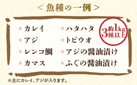 【数量限定】漁場手作り干物 季節の厳選おまかせセット 約1kg 3種以上【詰め合わせ 冷凍 干物セット 人気 アジ カレイ レンコ鯛 あじ ?油漬け カマス ハタハタ ふぐ ひもの 冷凍干物 お取り寄せ 旬の魚 魚 冷凍 新鮮 海鮮 お任せ ふるさと納税干物 】 [m56-a004] 