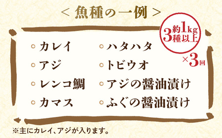 定期便≪3ヶ月連続お届け≫【数量限定】漁場手作り干物 季節の厳選おまかせセット 約1kg 3種以上×3回【詰め合わせ 冷凍 干物セット 人気 アジ カレイ レンコ鯛 あじ ?油漬け カマス ハタハタ ふぐ ひもの 旬の魚 新鮮 海鮮 お任せ ふるさと納税干物】 [m56-c001]