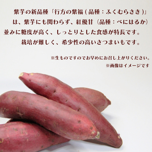 【2026年12月より順次発送】【訳あり】行方かんしょ「行方の紫福」さつまいも約5kg（洗い・不揃い・C品）｜さつまいも サツマイモ さつま芋 お芋 行方の紫福 訳あり わけあり 訳アリ 行方かんしょ 茨城県 行方市(AE-112)