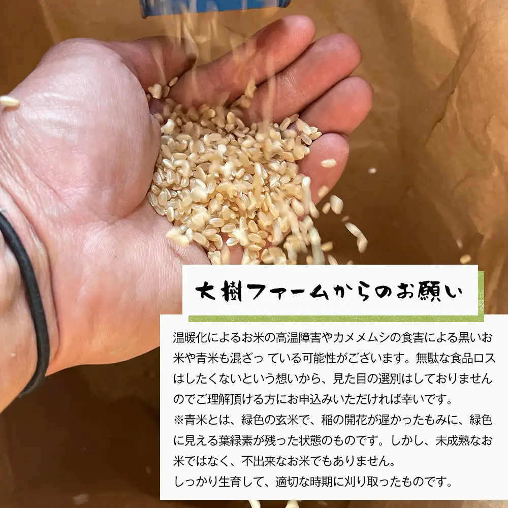 【定期便6ヶ月】自然栽培　コシヒカリ（白米）　5kg
