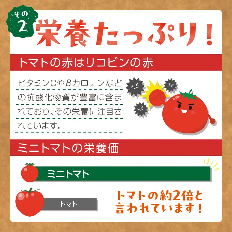 【トマト】訳あり秋冬ミニトマト 1.5kg
