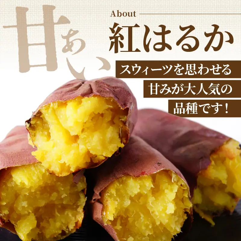 【先行予約】京丹後産 紅はるか 約1.5kg 土付き（2026年10月上旬～発送）