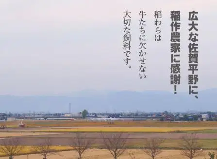 【4回定期便】佐賀牛しゃぶしゃぶ・すき焼き 計2.4kg【フルーム】[FAZ026]