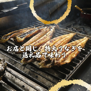 AK011_【冷蔵発送】朝開き国産うなぎ 当日発送２尾（1尾あたり約200～230ｇ） 蒲焼・味噌焼き 国産鰻 ウナギ