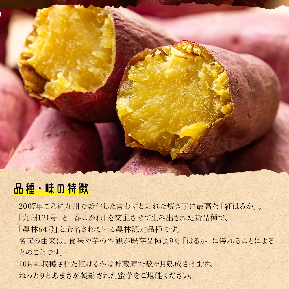さつまいも(紅はるか) Lサイズ 2kg【さつまいも 香南市産さつまいも おすすめさつまいも 甘いさつまいも 人気さつまいも さつまいも 期間限定さつまいも】 at-0061