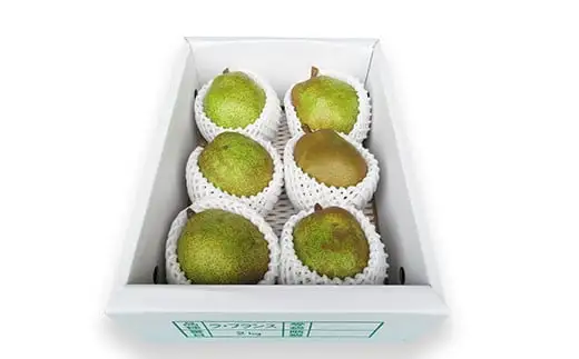 【令和8年産先行予約】 ラ・フランス 約2kg (5～6玉 秀 3L以上) 《令和8年11月上旬～発送》 『田口農園』 ラフランス 西洋梨 洋なし 果物 フルーツ デザート 山形県 南陽市 [1287-R8]