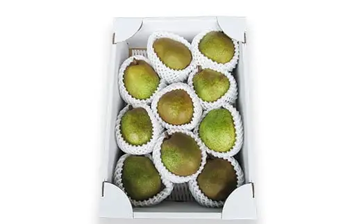 【令和8年産先行予約】 ラ・フランス 約3kg (10～11玉 秀 3L以上) 《令和8年11月上旬～発送》 『田口農園』 ラフランス 西洋梨 洋なし 果物 フルーツ デザート 山形県 南陽市 [1288-R8]