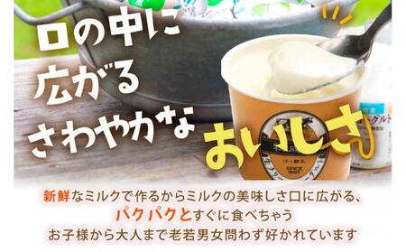＜牧成舎＞ 牛乳屋さんのご当地 ヨーグルト 12個（加糖タイプ）| ヨーグルト DF037