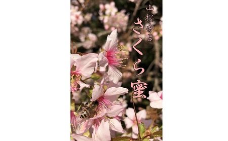 はちみつ 国産 山さくら 120g 無添加 無着色 はちみつ