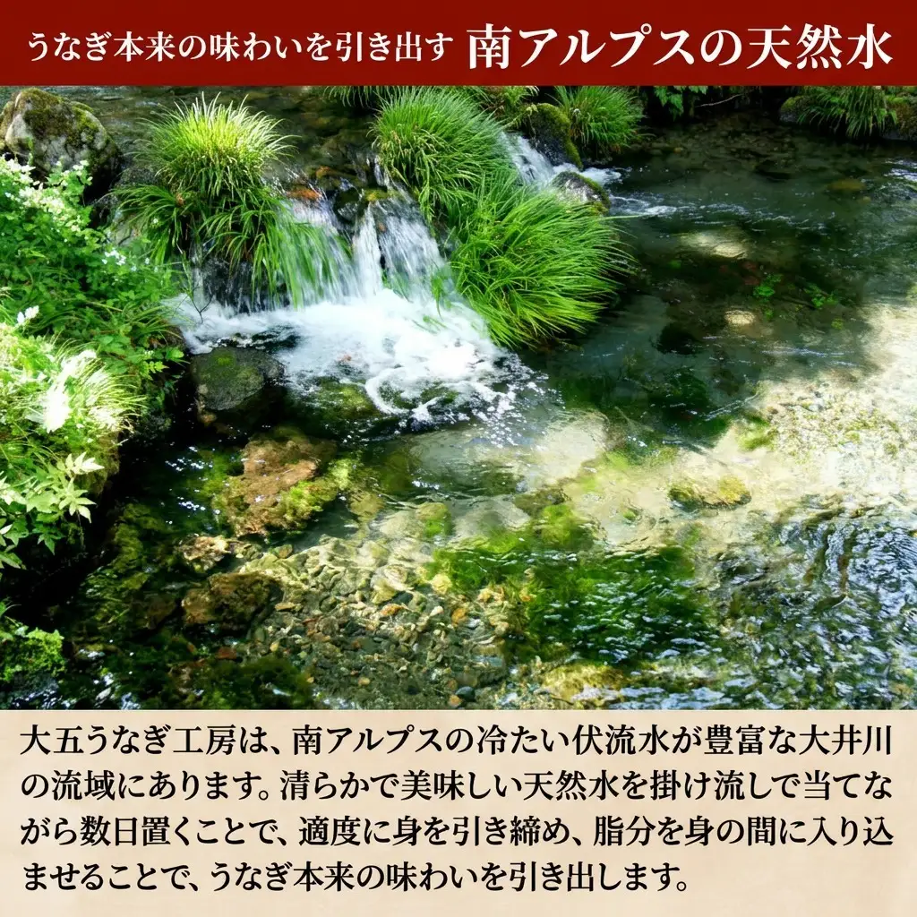 うなぎ 蒲焼 2尾 計240g 国産 大五うなぎ工房 うなぎ
