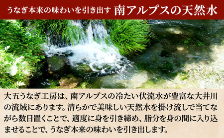 うなぎ 国産 蒲焼 2尾 計340g 大五うなぎ工房 冷凍 うなぎ