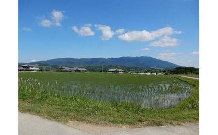 大和五條の「ゆめ野山米」（あきたこまち3kg×2袋） | コメ 米 こめ 精米 あきたこまち もちもち 奈良県 五條市