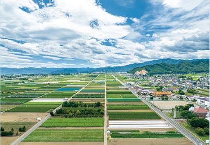 1255 長野県産 シードル(ドライ ふじ) 375ml 1本