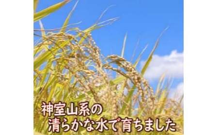 【令和7年産】 山形県産 はえぬき 玄米 5kg 米 コメ こめ F3S-2888