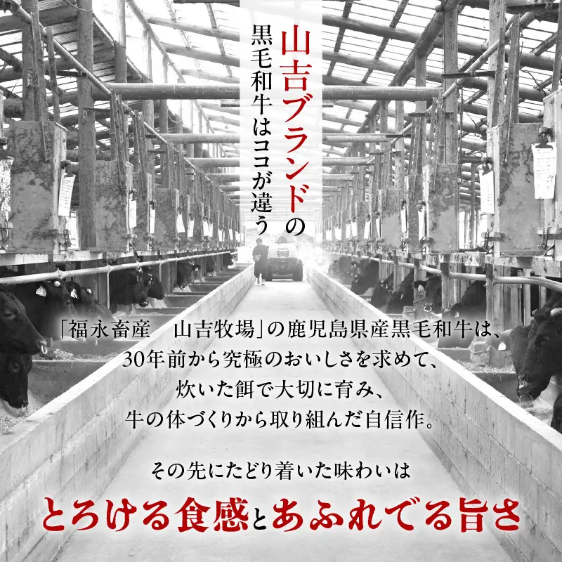 福永畜産 山吉牧場 鹿児島県産黒毛和牛 サーロインステーキ K326-005 肉 牛肉 冷凍