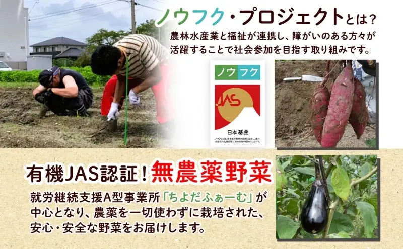 野菜詰合せ 季節の野菜 有機栽培 無農薬 千代田ファーム 野菜詰合せ【定期便 全4回】【冷蔵】