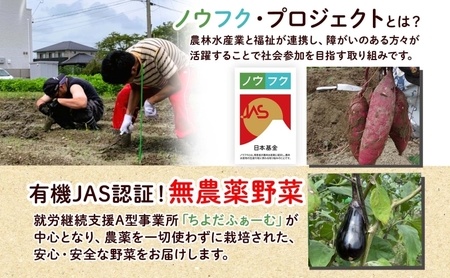 野菜詰合せ 季節の野菜 有機栽培 無農薬 千代田ファーム 野菜詰合せ【定期便 全6回】【冷蔵】