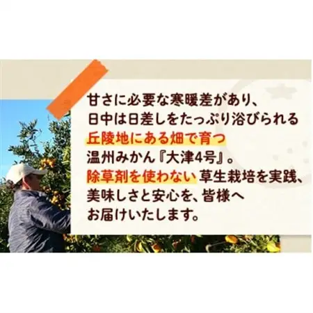 四季盛農園の本貯蔵 蔵出しみかん5Kg　【1月中旬頃から順次発送】【1581525】